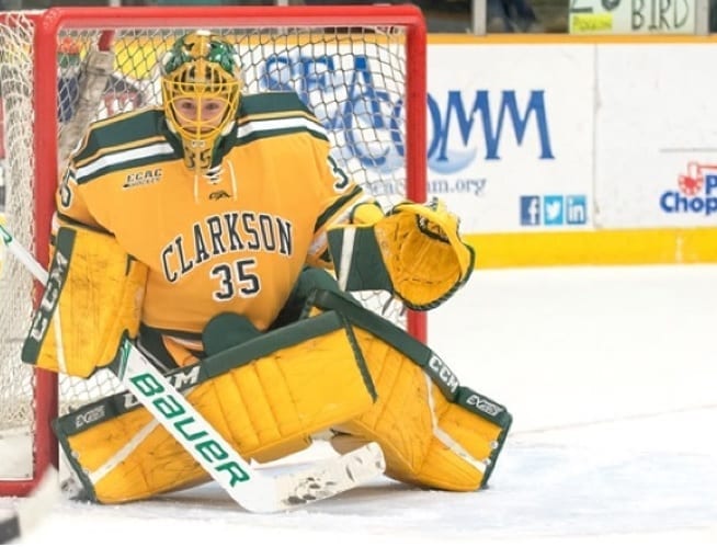 Shea Tiley Clarkson Gold Jersey